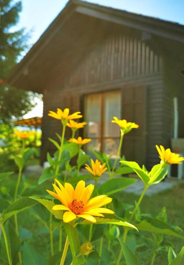 Merikotka - A Cozy Wooden Cottage, Slovenia Braslovce Buitenkant foto