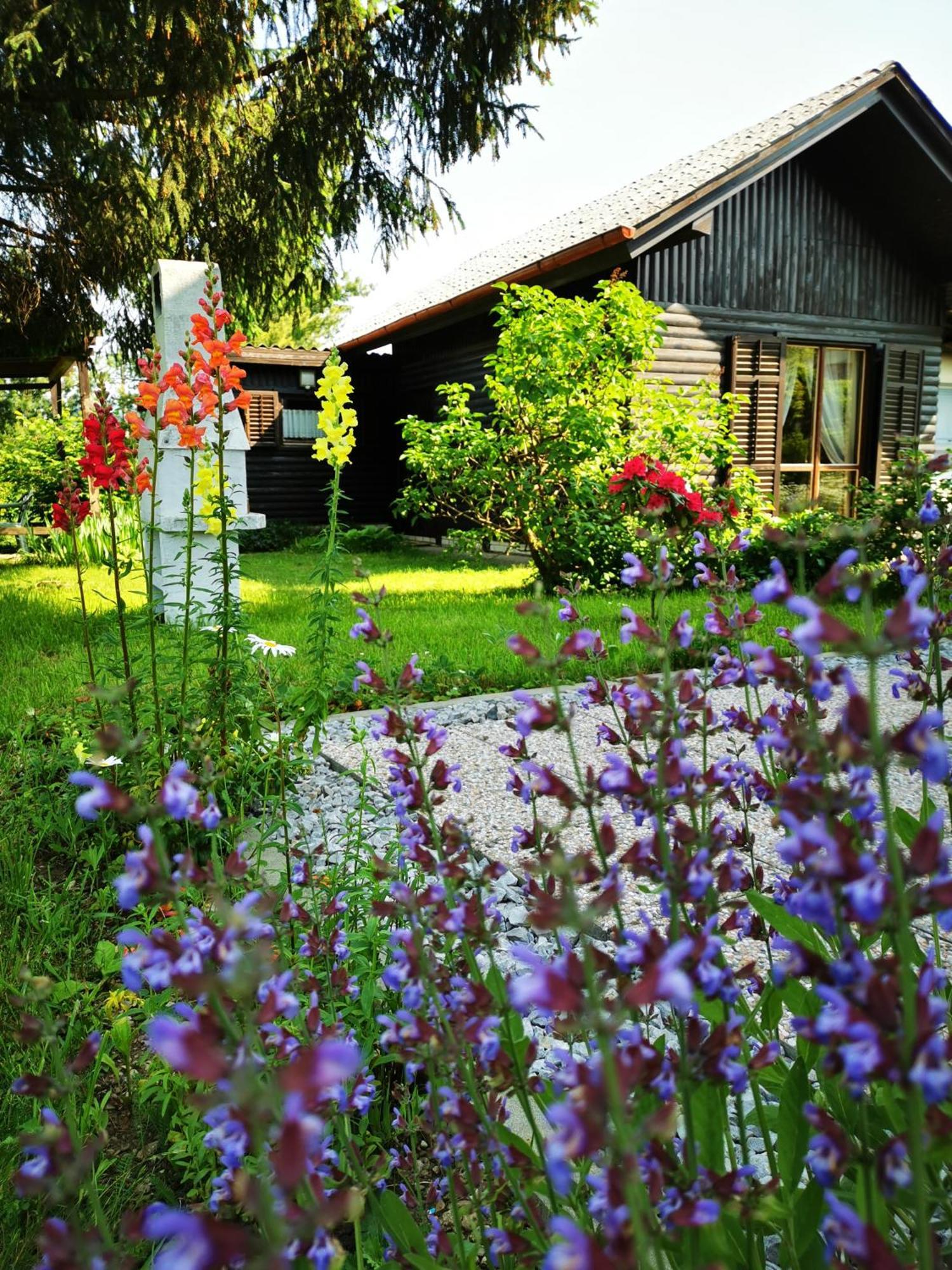 Merikotka - A Cozy Wooden Cottage, Slovenia Braslovce Buitenkant foto