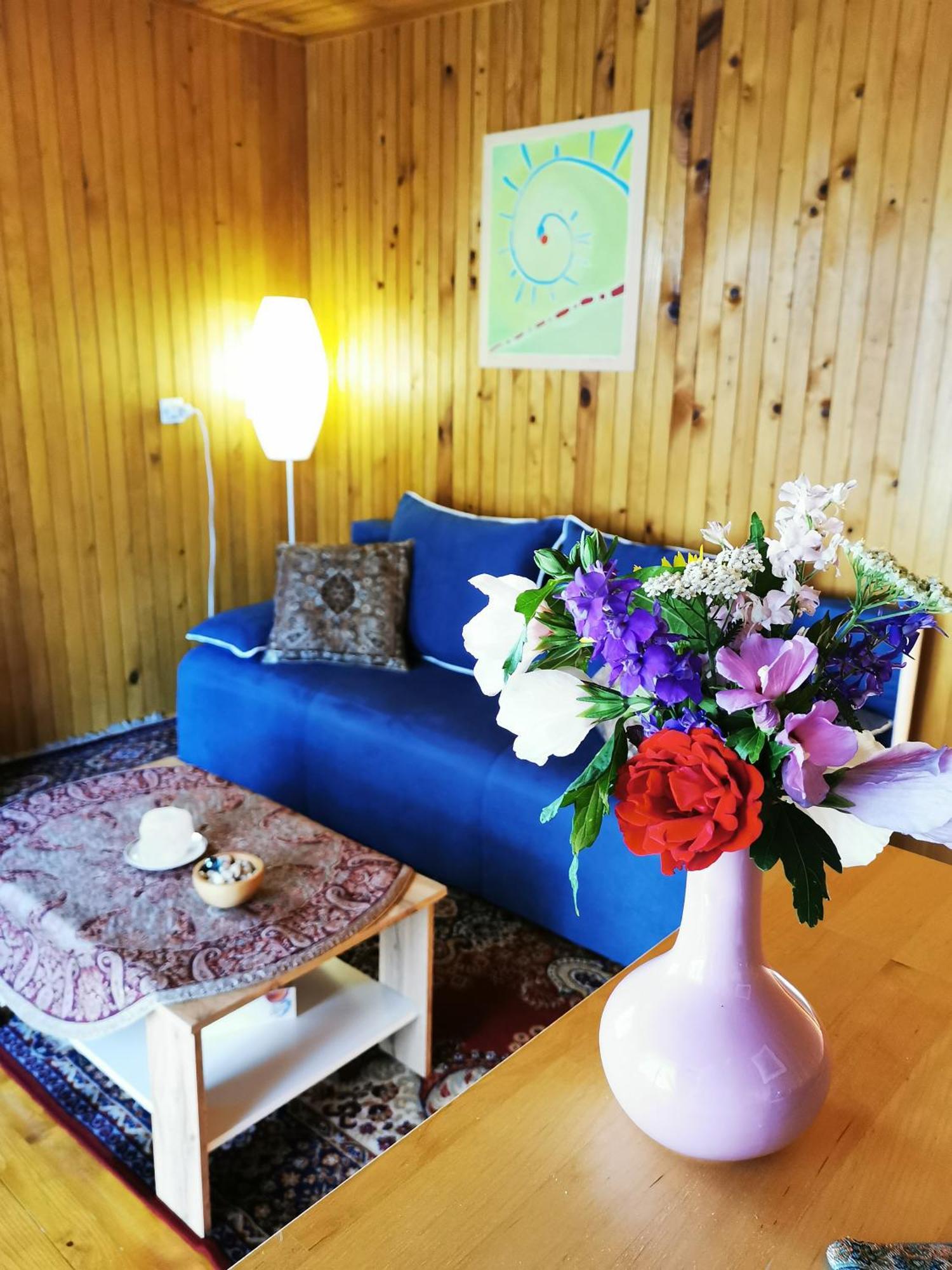 Merikotka - A Cozy Wooden Cottage, Slovenia Braslovce Buitenkant foto