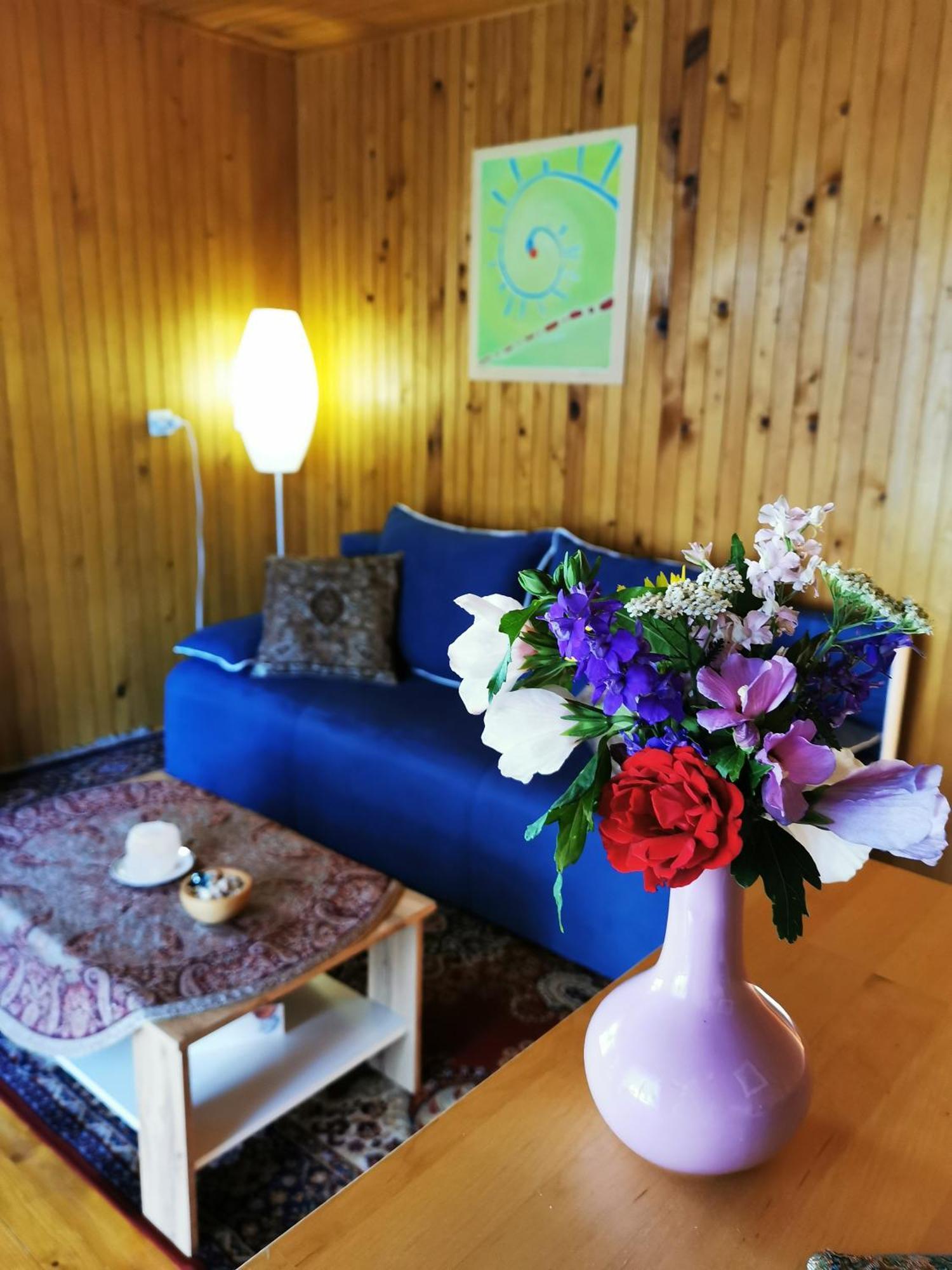 Merikotka - A Cozy Wooden Cottage, Slovenia Braslovce Buitenkant foto