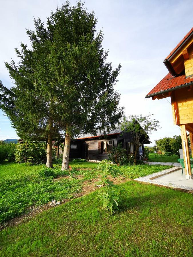 Merikotka - A Cozy Wooden Cottage, Slovenia Braslovce Buitenkant foto