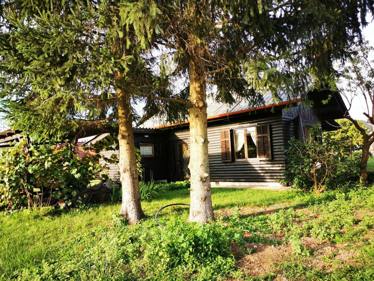 Merikotka - A Cozy Wooden Cottage, Slovenia Braslovce Buitenkant foto
